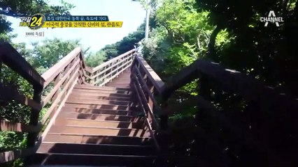 이국적 풍경을 간직한 신비의 섬, 울릉도 관음도의 매력♥