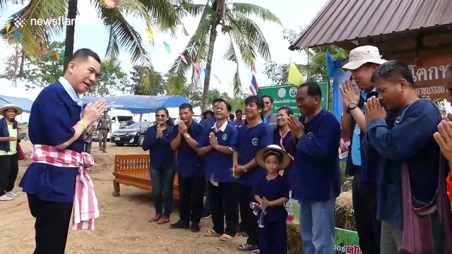 Thai farmers race tractors in paddy fields for rice planting festival