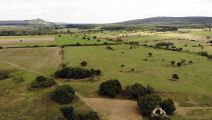 Sóstókáli templomrom