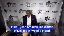 Mike Tyson Has Very Good Weed