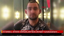 İSTANBUL-AYDOS ORMANLARI'NDA DEHŞET tutuklananların fotoğrafları