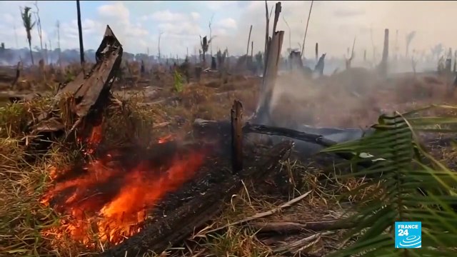 Norway to stop €30 million Amazon protection subsidy, saying Brazil 'broke agreement' on deforestation