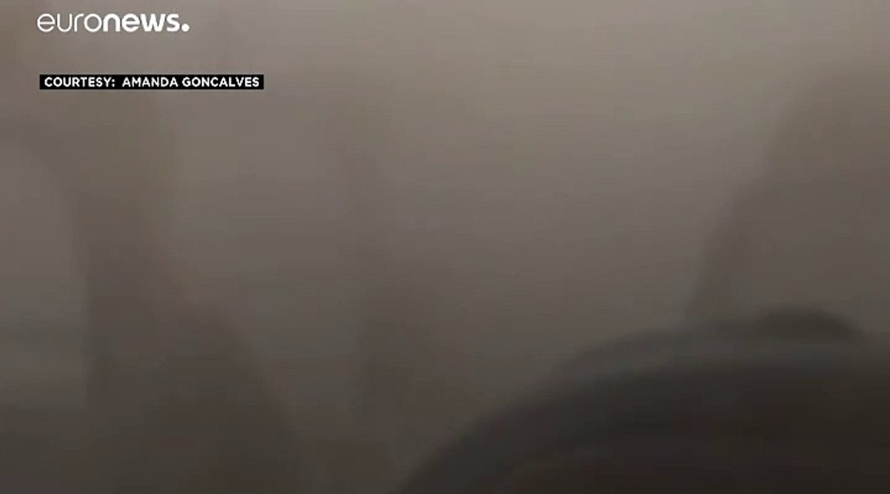 شاهد: موجة من الضباب السميك تملأ مقصورة طائرة في الولايات المتحدة
