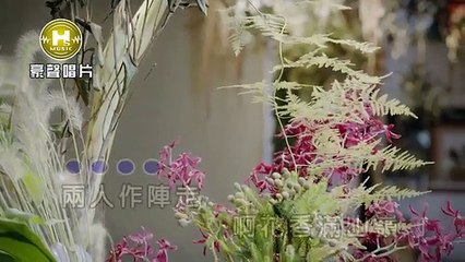 唐儷-美麗雙人影{Mei Li Shuang Ren Ying}