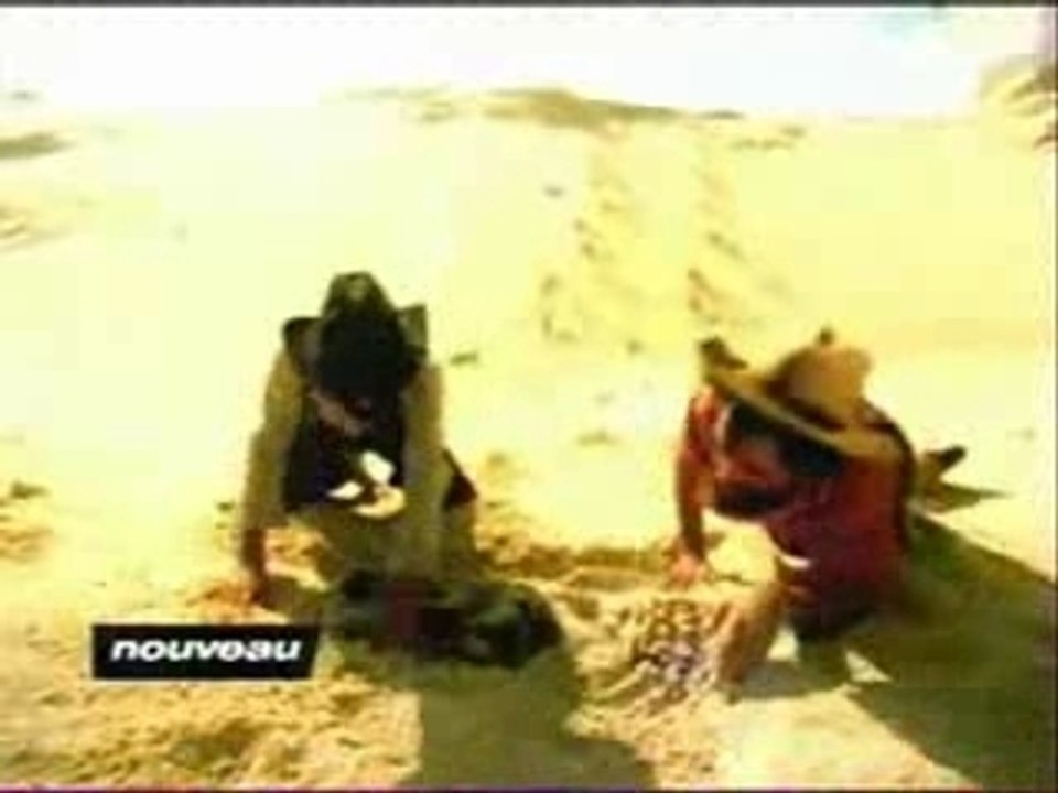 Le fabuleux destin d'Mathieu Chedid