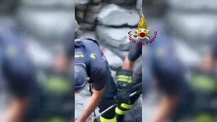 Lipari (ME) - Salvato cane caduto in un dirupo (16.08.19)