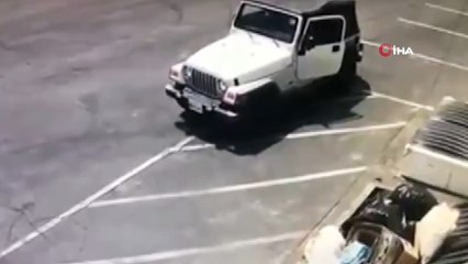 - 3 Günlük Köpek Yavrularını Çöpe Atan Kadına Hapis Cezası