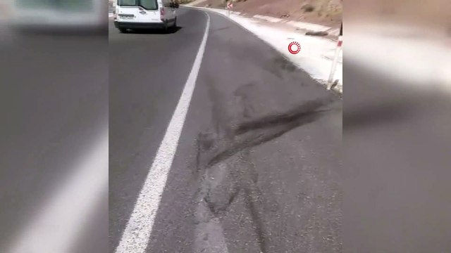 Yola inen ayı aracın çarpması sonucu telef oldu