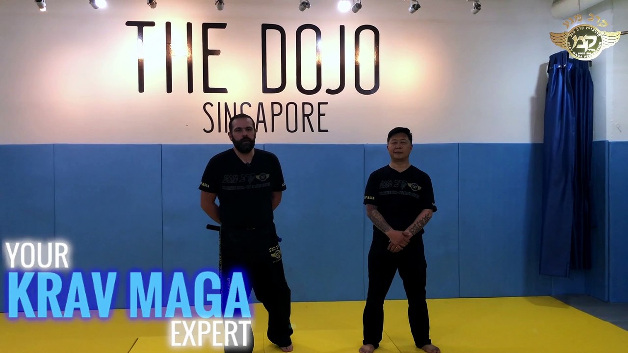 KRAV MAGA, FIGHT STICK AGAINST KNIFE WHAT IS THE BEST krav-maga-on-line.com