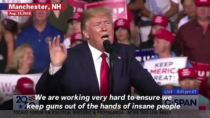 Trump At New Hampshire Rally: 'Not The Gun That Pulls The Trigger, It's The Person Holding The Gun'