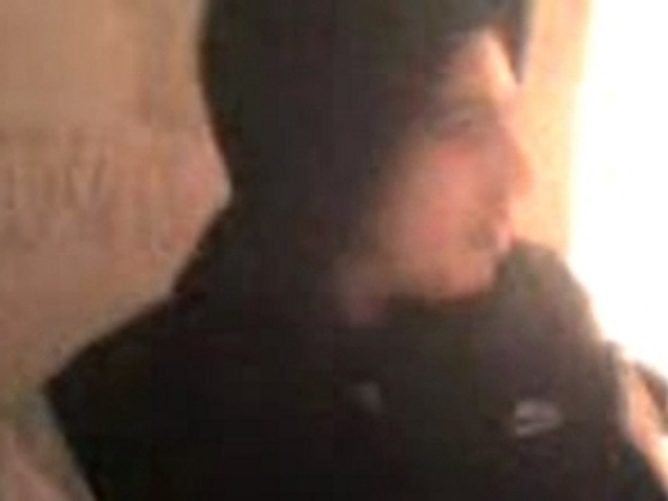 TERR-TERR!!!C LA TESS!!