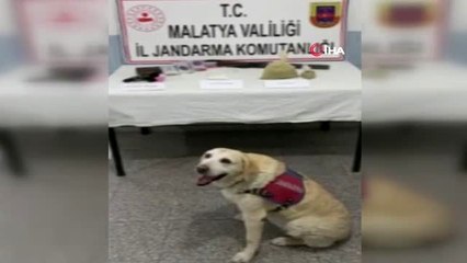 Malatya'da uyuşturucu operasyonu: 1 tutuklama