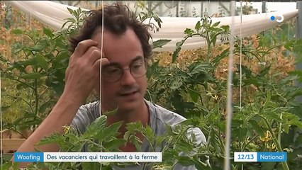 ‌Woofing : travailler dans des fermes en échange du gîte et du couvert