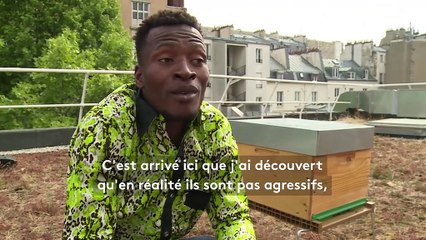 Réfugiés : l'apiculture, un moyen de s'échapper du quotidien