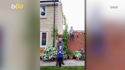 Behemoth Beanstalk! 5-Year-Old Boy Looks to Set World Record with His 15-Foot Beanstalk!