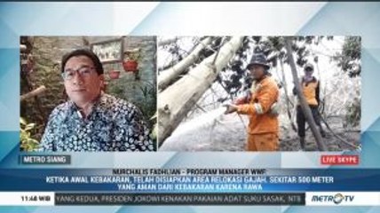 Selamatkan Satwa Liar dari Karhutla