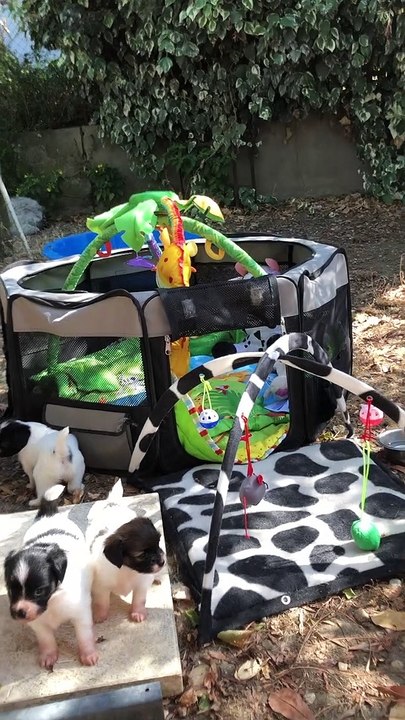 Les bébés du 17 juillet 2019