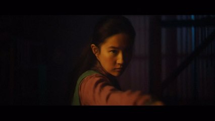 류이페이 홍콩 경찰 지지에 영화 '뮬란' 보이콧 운동 / YTN