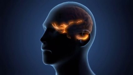 6 Habits That Damage Your Brain
