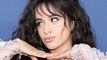 Camila Cabello Slams Fans Trolling Shawn Mendes Relationship