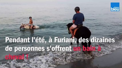 Ils s'offrent un bain à cheval en Corse !