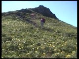 Plomb du Cantal 1855m -Auvergne