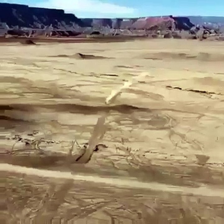 Unbelievable jumping +