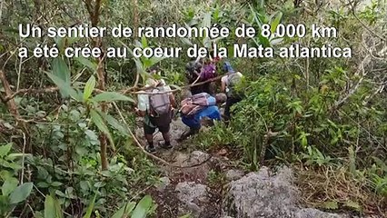 Au Brésil, un sentier de 8.000 km pour sauver la forêt atlantique