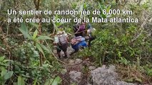 Au Brésil, un sentier de 8.000 km pour sauver la forêt atlantique