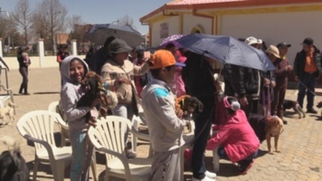 Bolivia conmemora fiesta de San Roque con bendiciones para los perros
