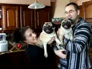 berlioz et crispy retrouvailles de 2 carlins