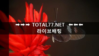 예능다시보기『＼/』 TVNFreeㆍCｏM 『＼/』티비다시보기 영화다시보기 영화사이트