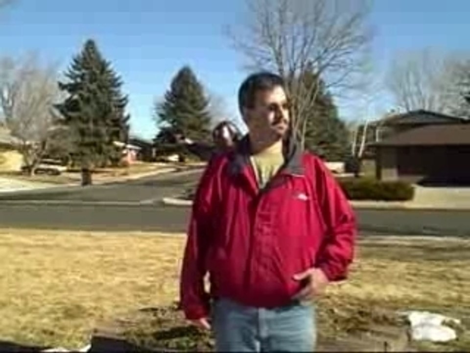 Sculpture in the Park