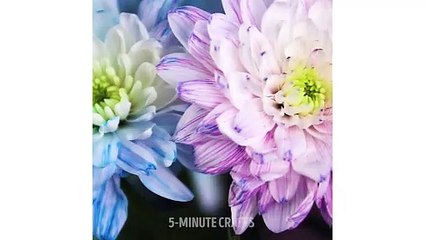 افكار مبهجة للأطفال