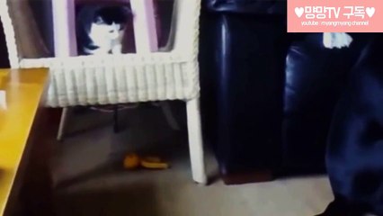 속초출장안마-후불100%ョOiOV5694V2960｛카톡BRO87｝ 속초전지역출장안마 속초오피걸 속초출장마사지 속초안마 속초출장마사지 속초출장콜걸샵 ₡₥♖속초출장샵