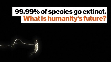 99.99% of species go extinct. What is humanity’s future?