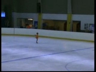 FERIAU manon FONTENAY 2008