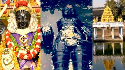 Athivaradhar in anathasaras | 16 நாகங்கள் காவல் காக்க.. அனந்தசரஸ் குளத்துக்கு செல்கிறார் அத்திவரதர்