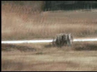 Nana 11 mois Tour complet à Monteux.