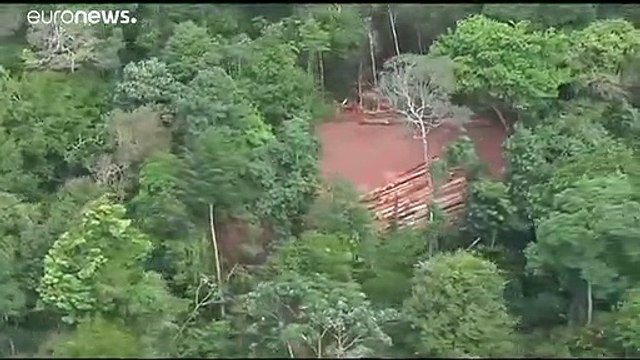 Brazilian government defends record on Amazon deforestation