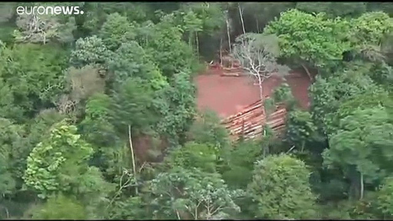 Brazilian government defends record on Amazon deforestation
