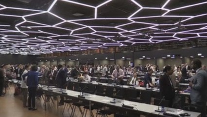 El comercio de jirafas, elefantes y reptiles a debate en la 18ª cumbre CITES