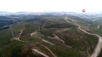 İmara açılacak dendi, her metrekaresinden fidanlar yükseldi