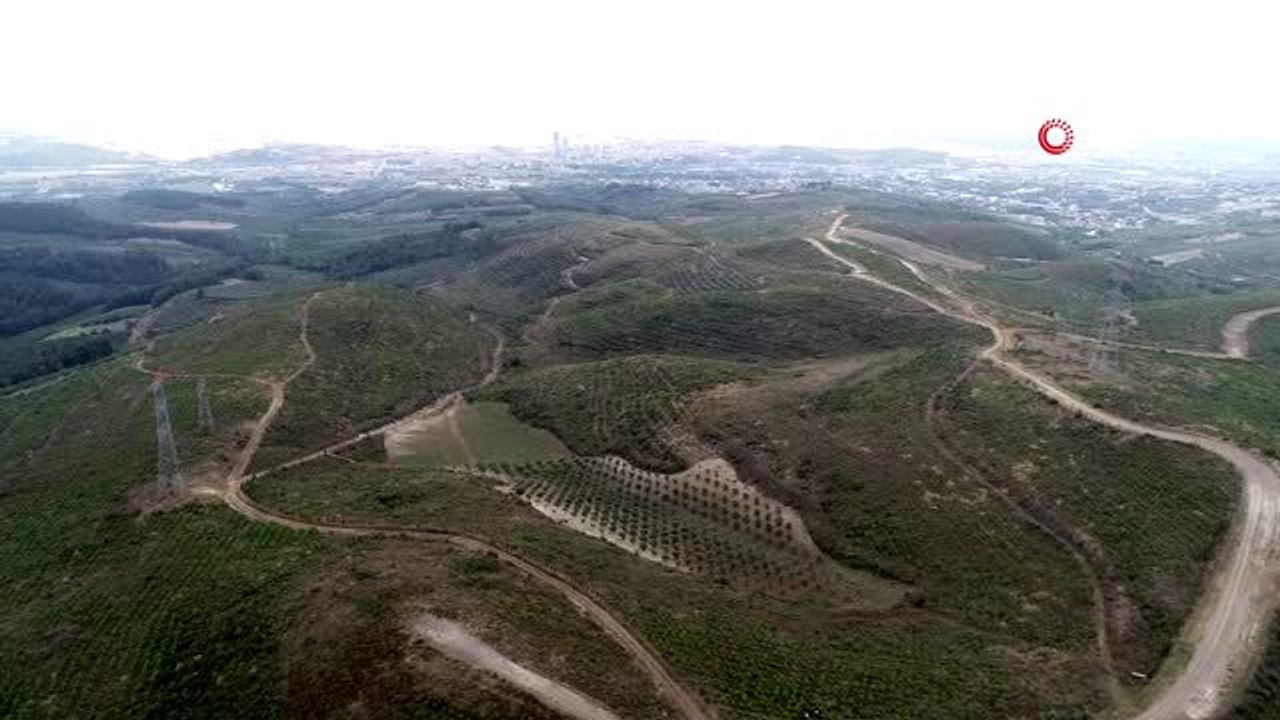 İmara açılacak dendi, her metrekaresinden fidanlar yükseldi