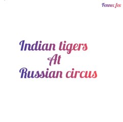 Indian tigers in russian circus