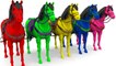 Animales para niños - Aprende los colores con animales de elefante caballos en la granja para niños