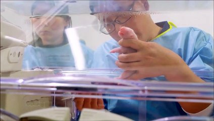 Deux bébés pandas agrandissent la famille