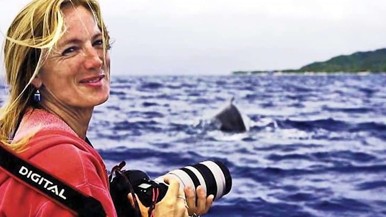 Кит не отпускал дайвера и когда она поняла почему, то была шокирована ( 720 X 1280 )