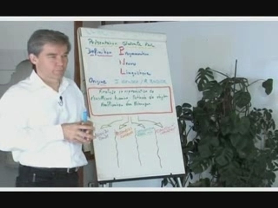 Formation PNL vidéo, les bases du développement personnel