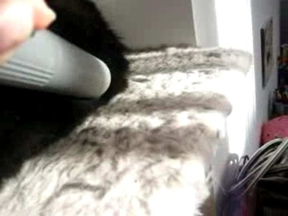 Looping 8 mois et demi 053